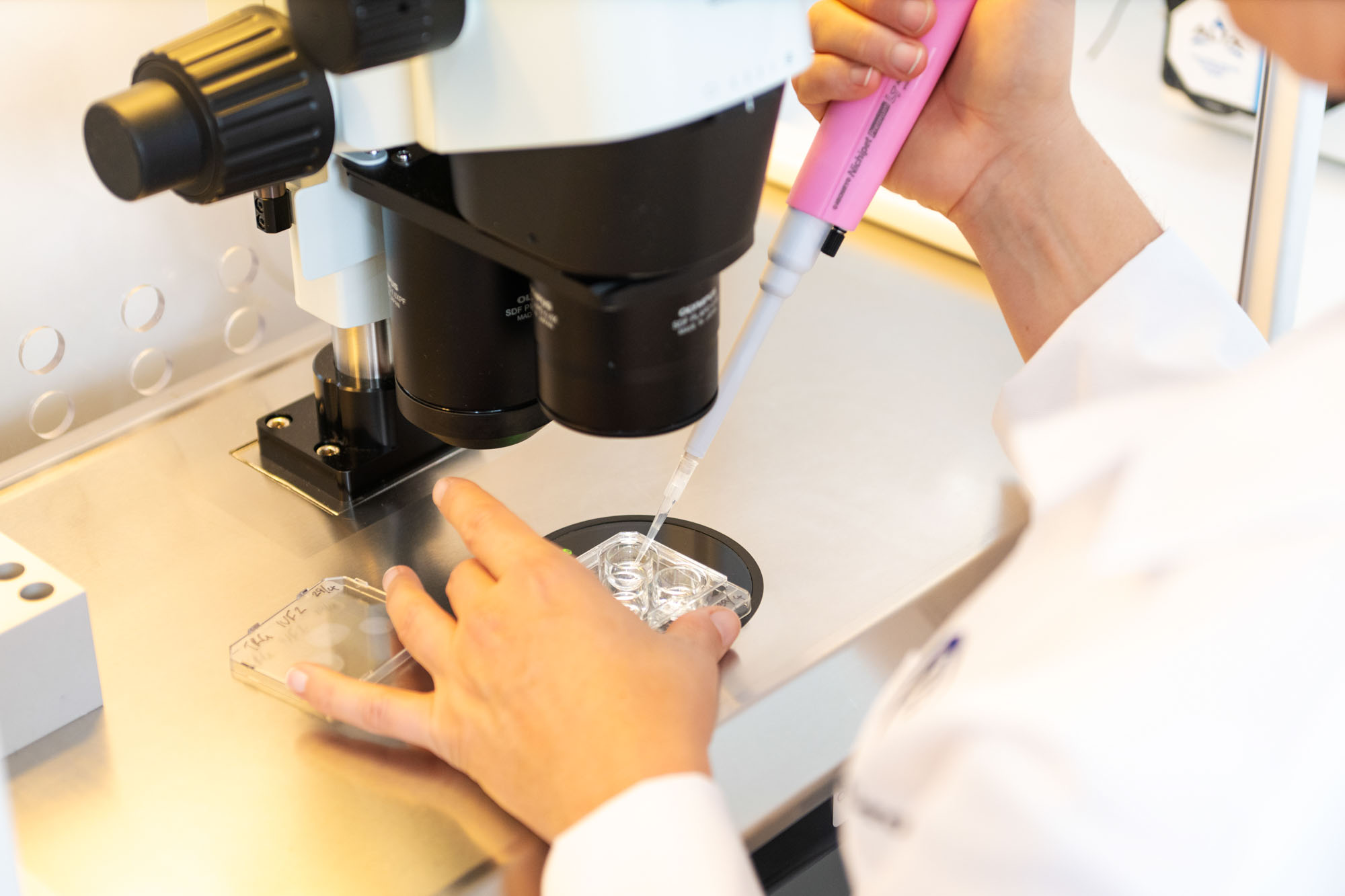 Medical Photographer Brisbane photo 9